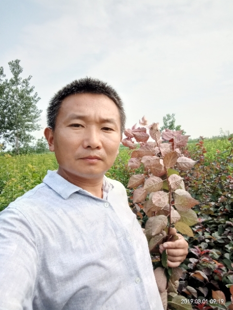 孩子爸的第一张照片--徐州上门女婿服务网